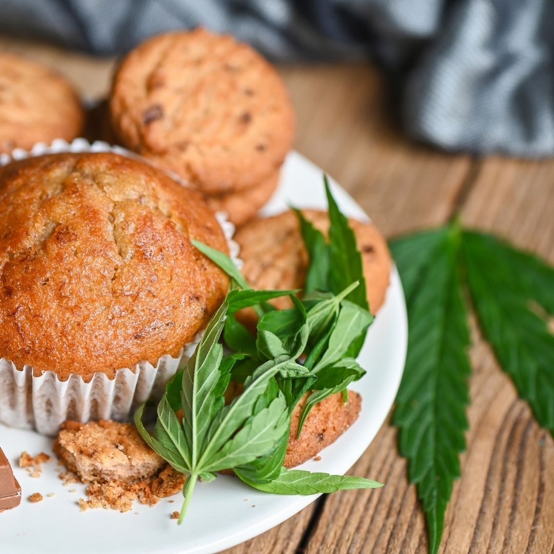 Kayacannabisco's tweet photo. Wake and Bake. 🍃 

#Goodmorning #KayaColorado #Coloradolife #bake #denverfoodie https://t.co/gax5r2GhjG