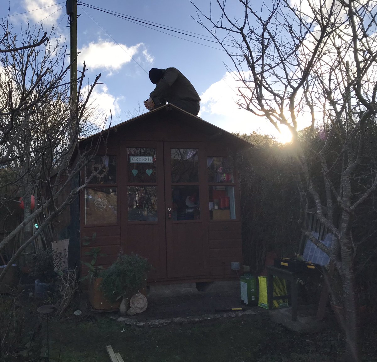 letterappsoc's tweet photo. Operation Mend The Shed is a go! And of course if big roofing boards sit in the lounge for a couple of days this is what is going to happenโฆ #LetterWritingShed ๐๐จ๐ ๐๐ https://t.co/Mm1eeXjw32