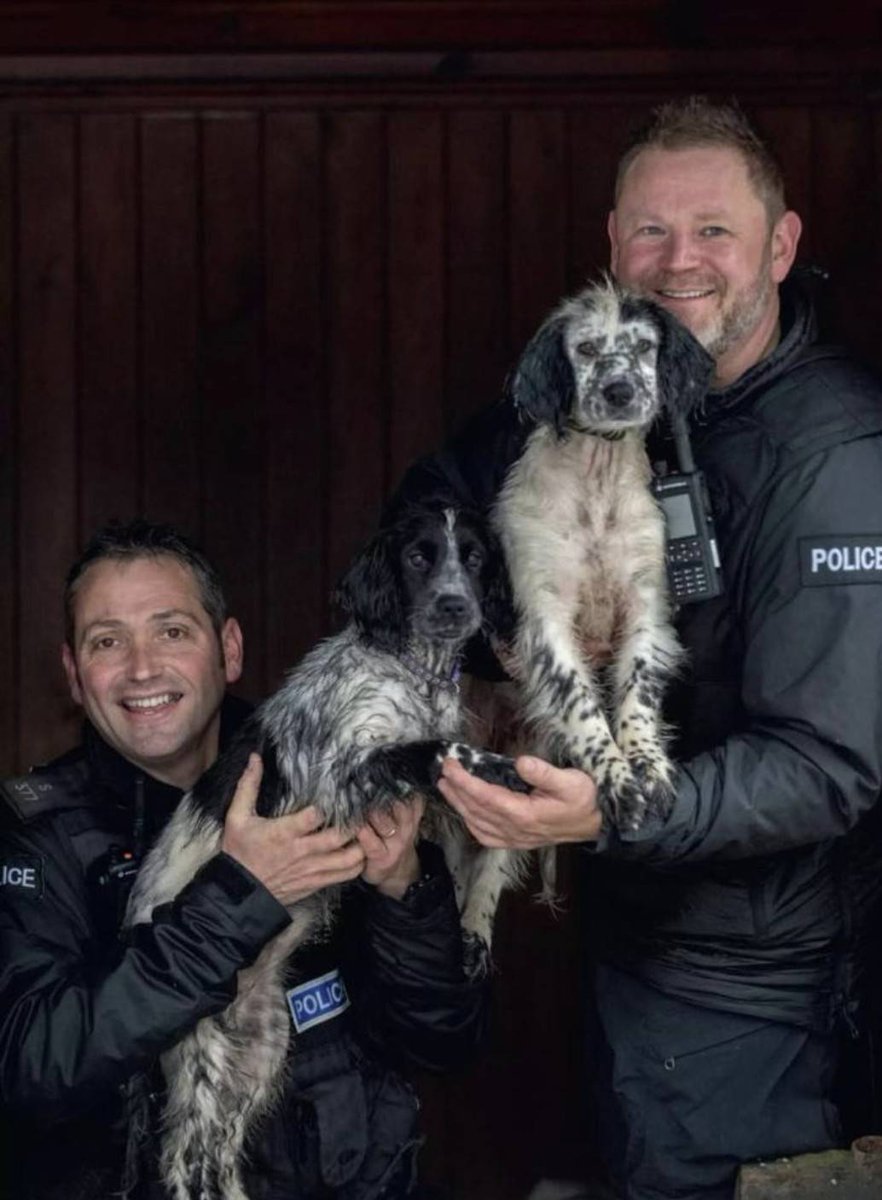 PSOSDogs's tweet photo. A great article in the #ScottishField magazine this month on 2 of our pups in Aberdeen. #TPDDee is in training to be an Explosive Detection Dog &amp; #TPDRussell is being trained to find Drugs, Cash and Firearms. They're both doing brilliantly with PC's Warden and Stockley!

#Pupdate https://t.co/OFT7A9b0lk