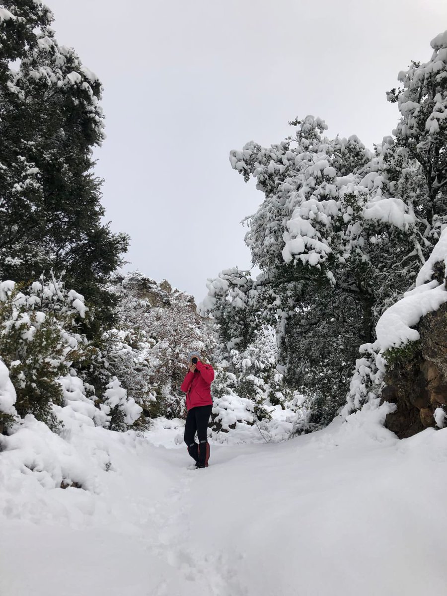 ElTiempoNavarra's tweet photo. Imágenes muy invernales y bonitas a primera hora de esta tarde desde #LeónDormido #Lapoblación #Meano #TierraEstella #Navarra 1050 m https://t.co/5qBxtSgpNM