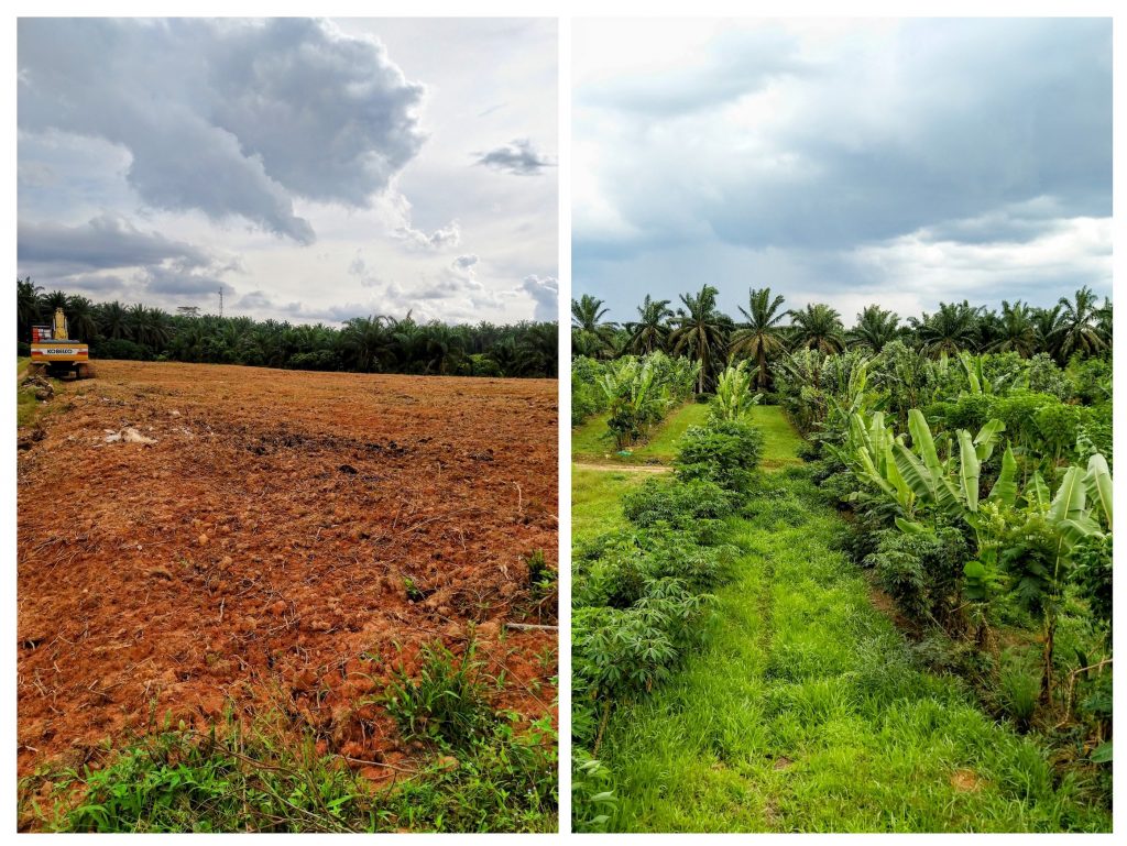 SophiaSaveSoil's tweet photo. Il 60% della popolazione mondiale è carente di sostanze nutritive come il ferro a causa della mancanza di nutrienti negli alimenti e nei terreni. (TIME, 2012)
#soilforclimateaction #SaveSoil #SaveSoilFixClimateChange
#SoilDesertification https://t.co/ZT2yPk27eU