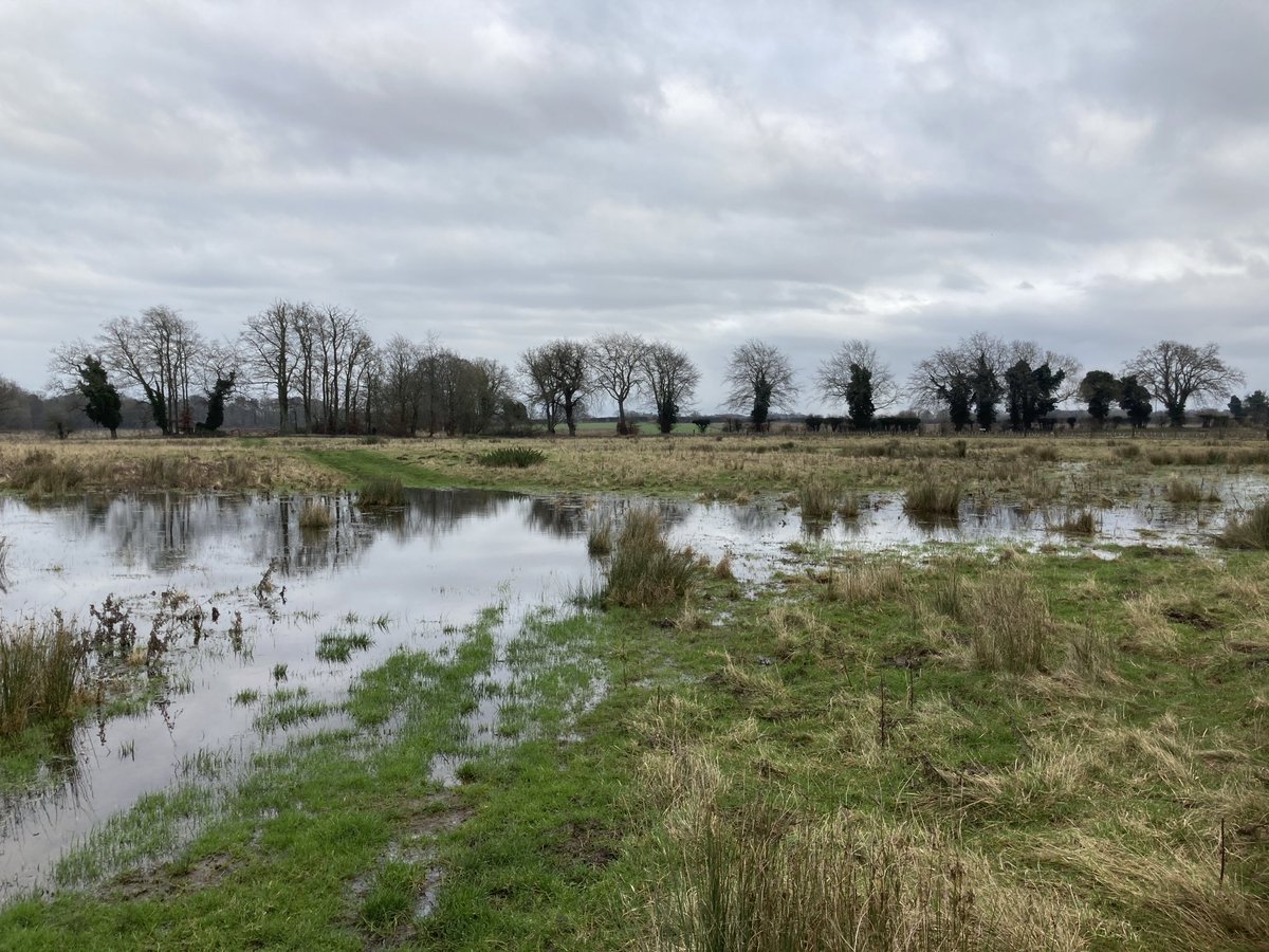 Art Branches tweet media