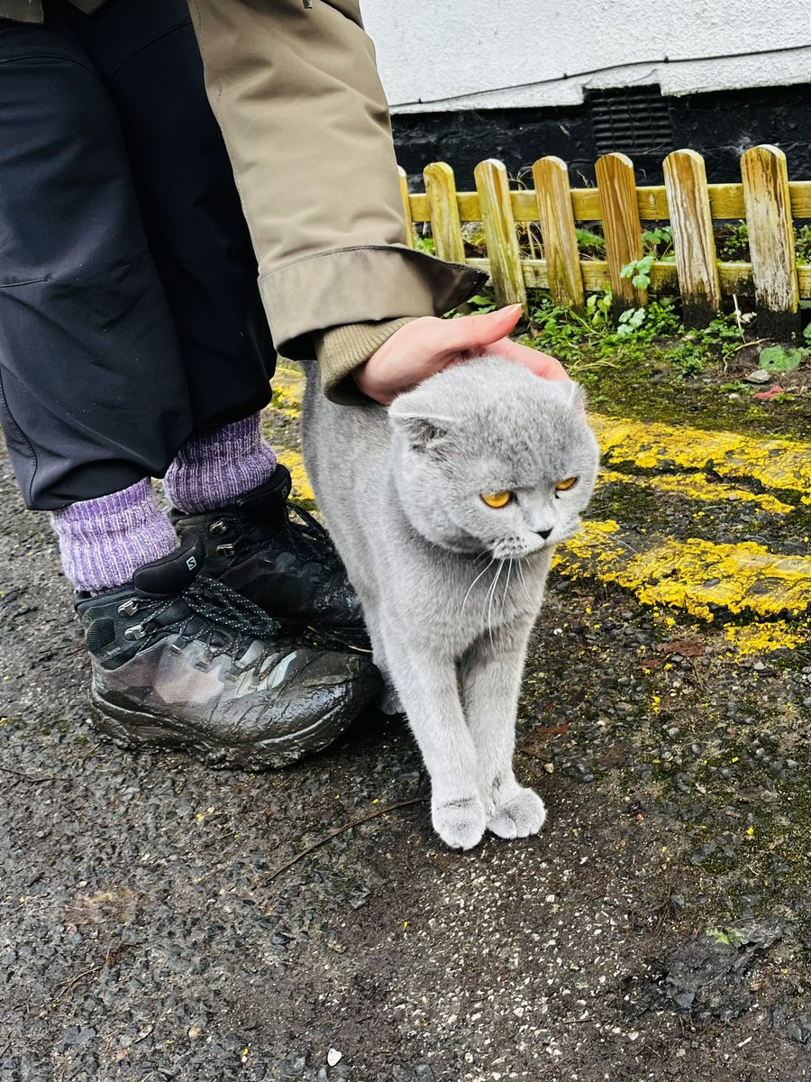 matt_cork's tweet image. Boots on…! 🥾🥾

Sunday ramble through the mud &amp;amp; along the nearby paths

Flooded fields, reflections &amp;amp; a new little friend… 🐈 ❄️ ☀️ 

#sunday #walking #bootson #dunhammassey #dunham #winter