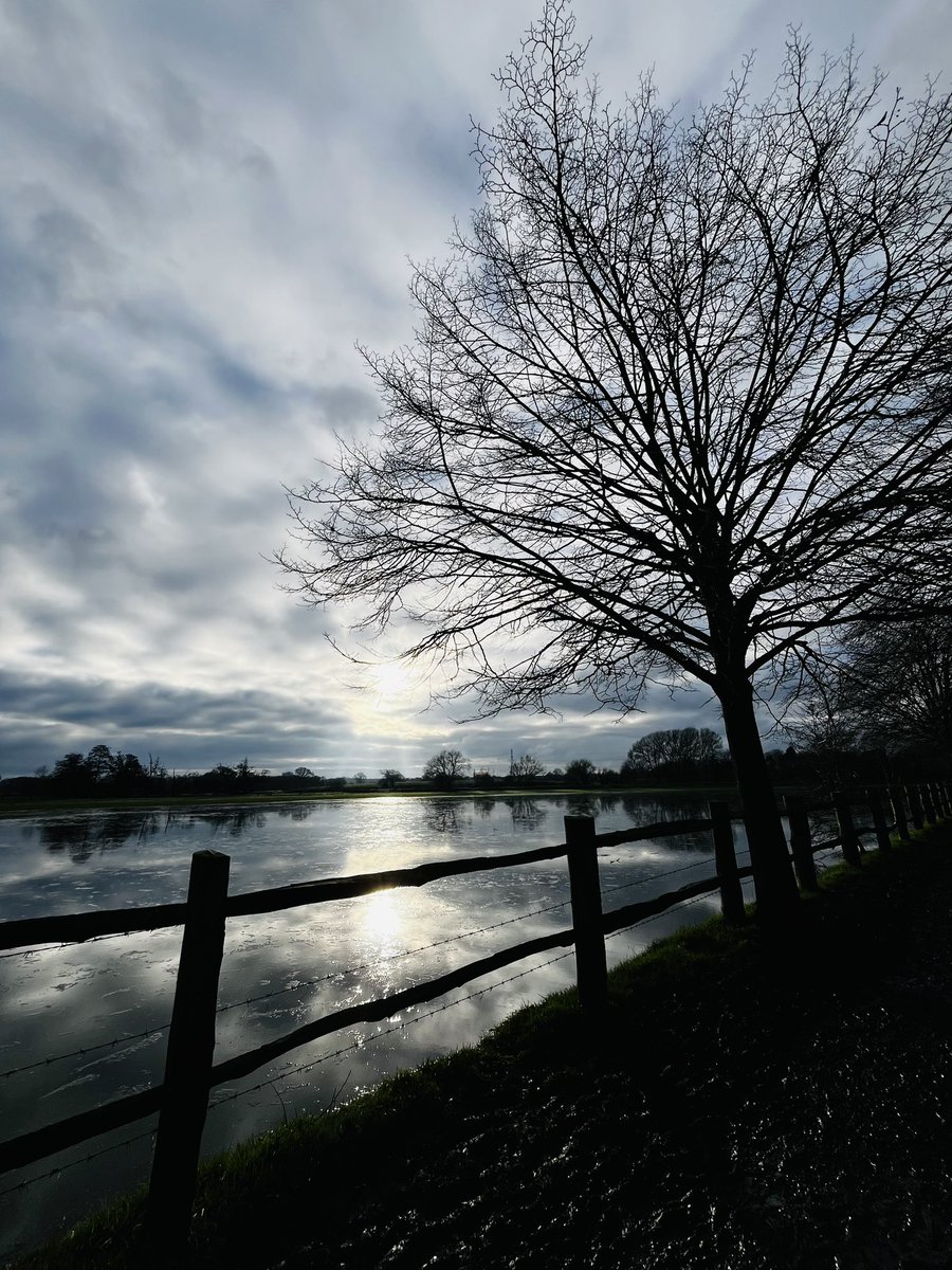matt_cork's tweet image. Boots on…! 🥾🥾

Sunday ramble through the mud &amp;amp; along the nearby paths

Flooded fields, reflections &amp;amp; a new little friend… 🐈 ❄️ ☀️ 

#sunday #walking #bootson #dunhammassey #dunham #winter