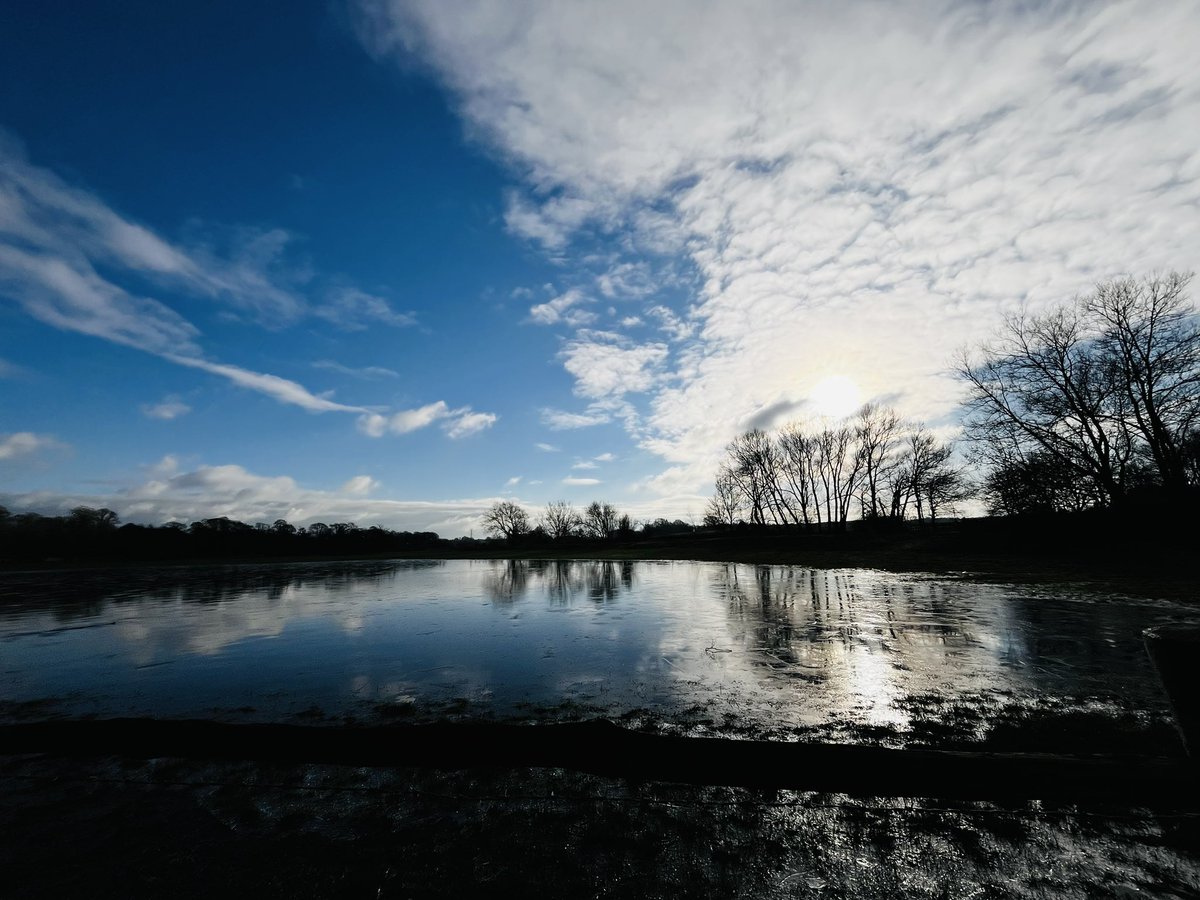 matt_cork's tweet image. Boots on…! 🥾🥾

Sunday ramble through the mud &amp;amp; along the nearby paths

Flooded fields, reflections &amp;amp; a new little friend… 🐈 ❄️ ☀️ 

#sunday #walking #bootson #dunhammassey #dunham #winter