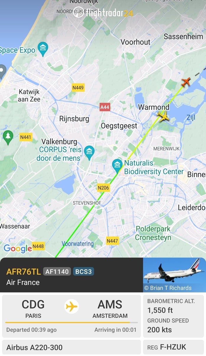 Oscar Neil tweet media