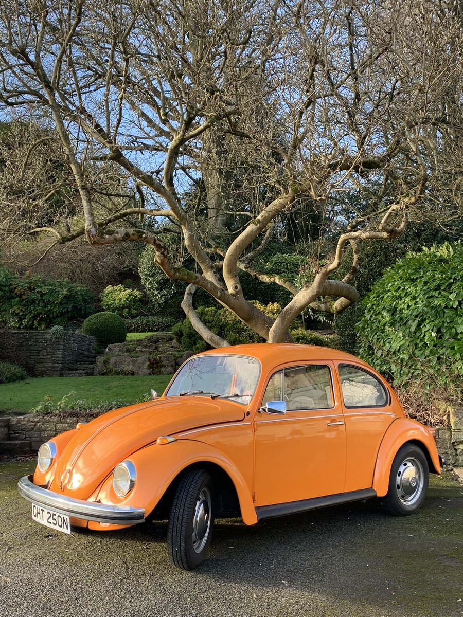 Geoff Rich (@geoffrich) on Twitter photo Everything looks a bit brighter when the sun comes out again 🤩 Everything looks a bit brighter when the sun comes out again 🤩