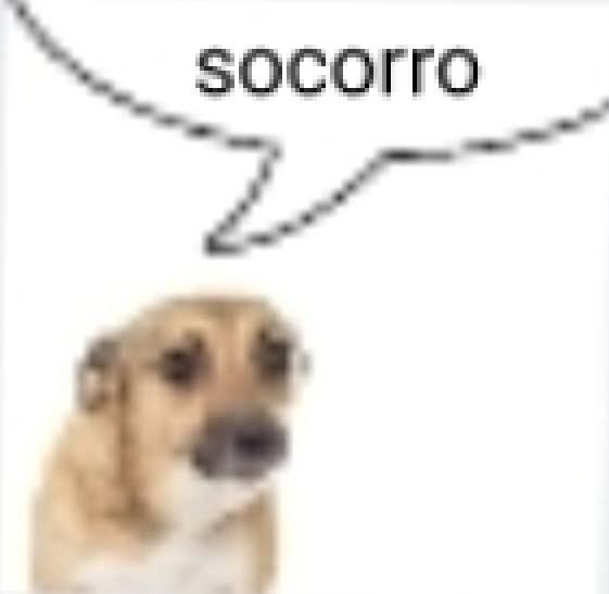 ifavhatake's tweet photo. penso em começar livros mas nunca em terminar os q eu já comecei https://t.co/COYqG7yN1b