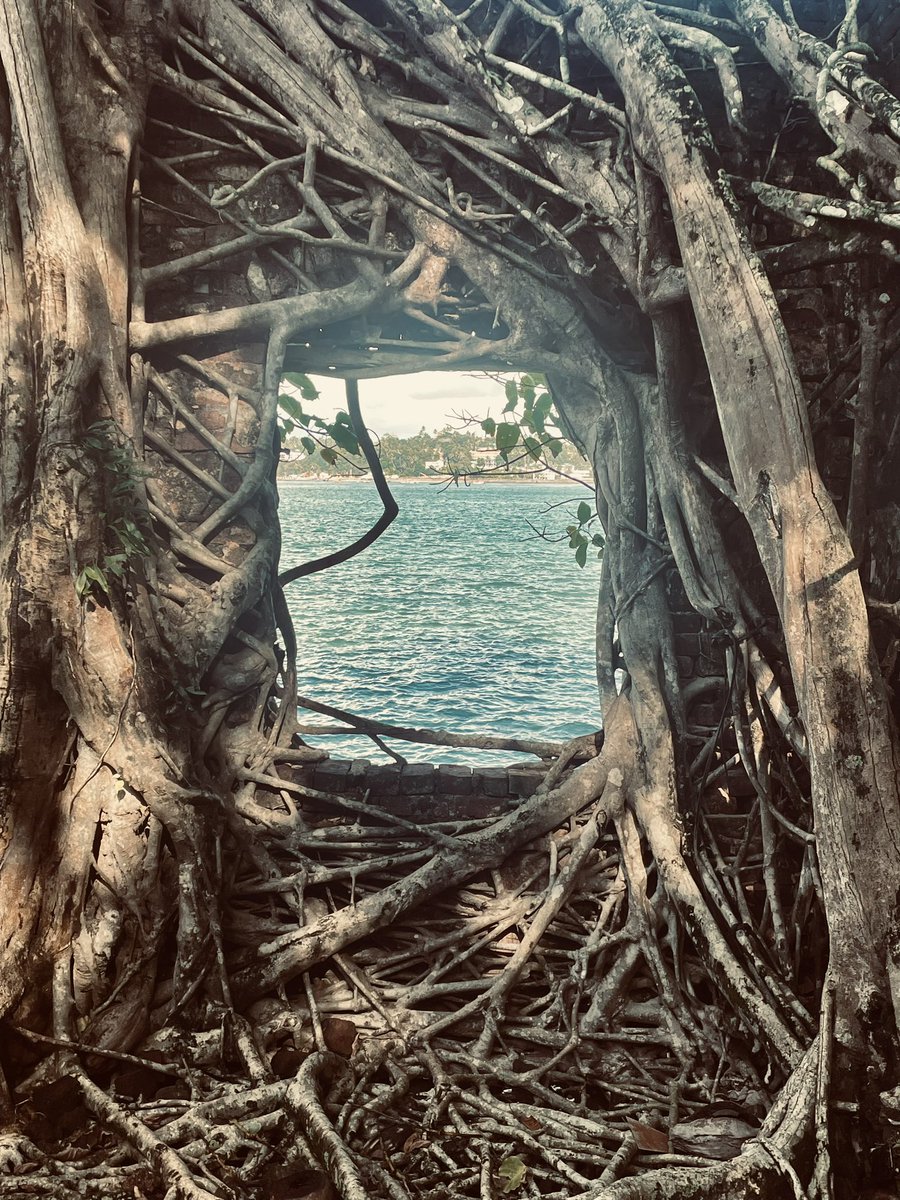 Witness beauty of the islands through lens of nature📸❤️

#ExploreIndia  #AndamanNicobar #ExploreIndianBeaches #BeachVibes #sundayvibes