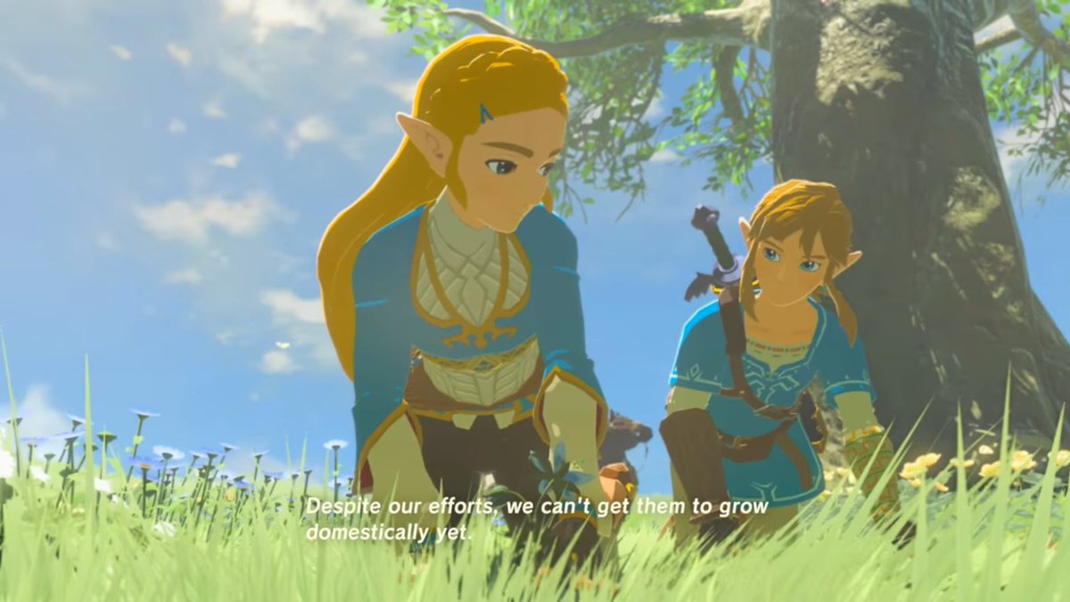 RealCFZ's tweet photo. Link cares to Zelda a lot. Not just to bodyguard her, but to actually listens her while she geeks out or she feels that she fails her duty. Link is the only person Zelda feels comfortable with. https://t.co/ctiQzsALN3