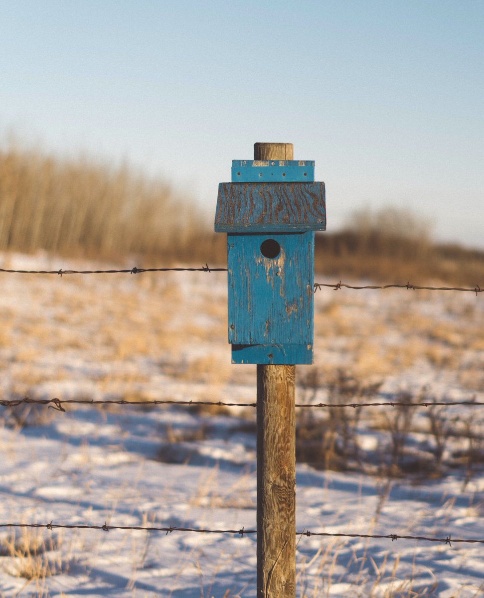 FarmerJaneCo's tweet photo. What's one thing that comes to mind when you think about the prairies? 🤔🌾
#FarmerJane #meanwhileinsask #Winnipeg #Saskatoon #Regina https://t.co/v4tKsAJ4Lh