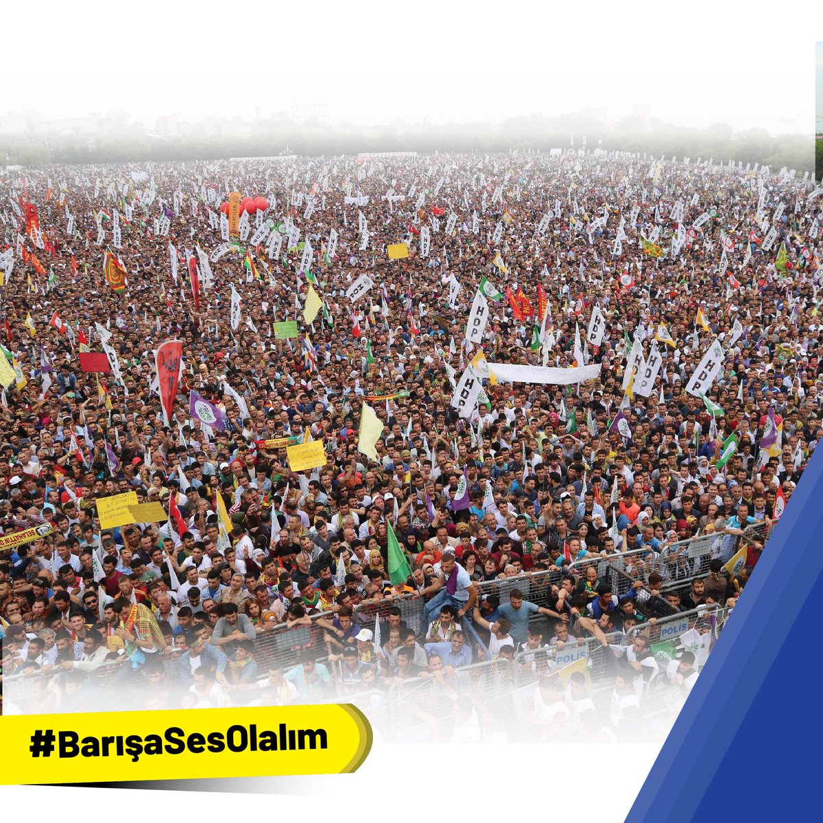 Ali Bozan tweet media