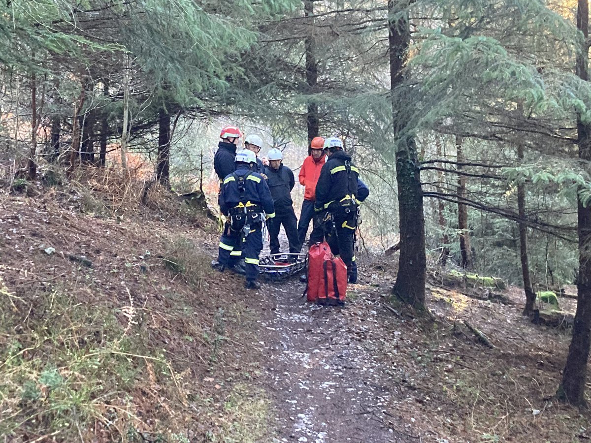 Ben Weedon Station Manager DSFRS tweet media