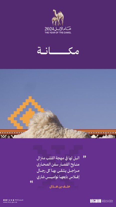 mr_geraro's tweet photo. @faisal_rakan_ يارب توفيقك https://t.co/r6b8TVxXFg