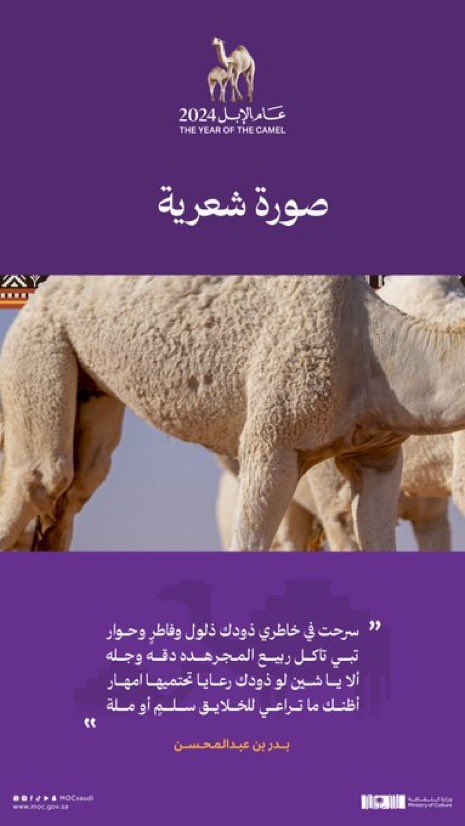 mr_geraro's tweet photo. @faisal_rakan_ يارب توفيقك https://t.co/r6b8TVxXFg