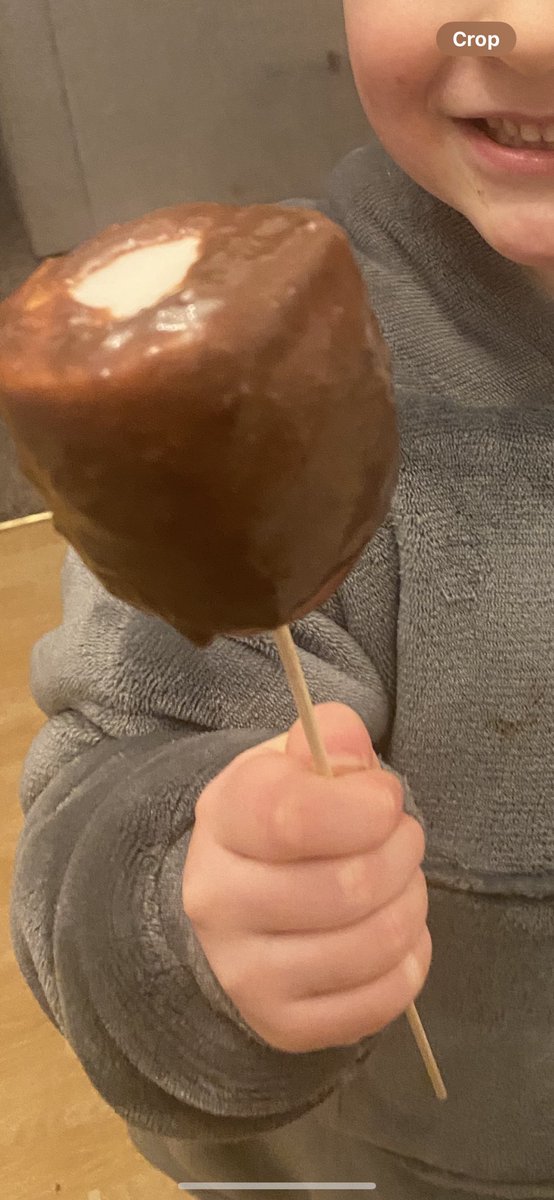 Melted the “last” of the selection boxes (not counting the ones we put away for treats) 

Toasted marshmallows and had a dip!

Back to school / nursery treat 🤍🌿