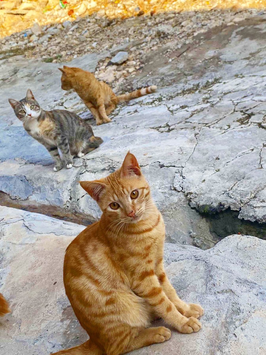 xaten6's tweet photo. 🥰😊 https://t.co/BYUxb6rLMY