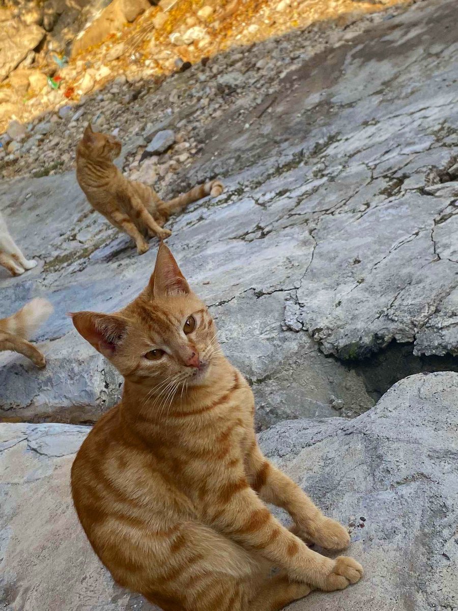 xaten6's tweet photo. 🥰😊 https://t.co/BYUxb6rLMY