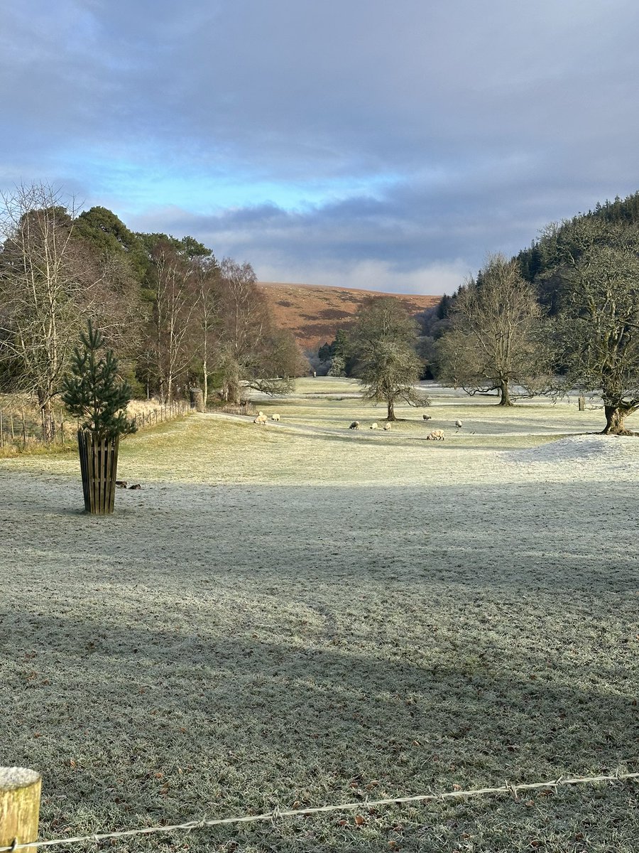ComeSeeScotland's tweet photo. Yesterday #downindumps. Today #kickup… needed.
Gorgeous walk through Glen Estate up to #locheddy. Cold but beautiful! @TweedGo #spiritslifted.
It worked! #grateful. https://t.co/ZqwjflWDub