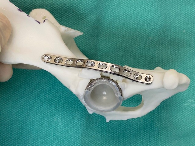 3dheals's tweet image. Texas A&amp;amp;M #Veterinarians Use #3DPrinting Technology To Assist In Double Hip Replacement Surgery
bit.ly/3TRfybX

#medical3dprinting #medtech #3dhealslattice