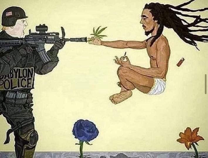 pentaclar tweet media