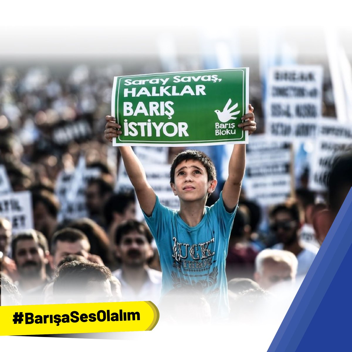 Ayten Kordu tweet media