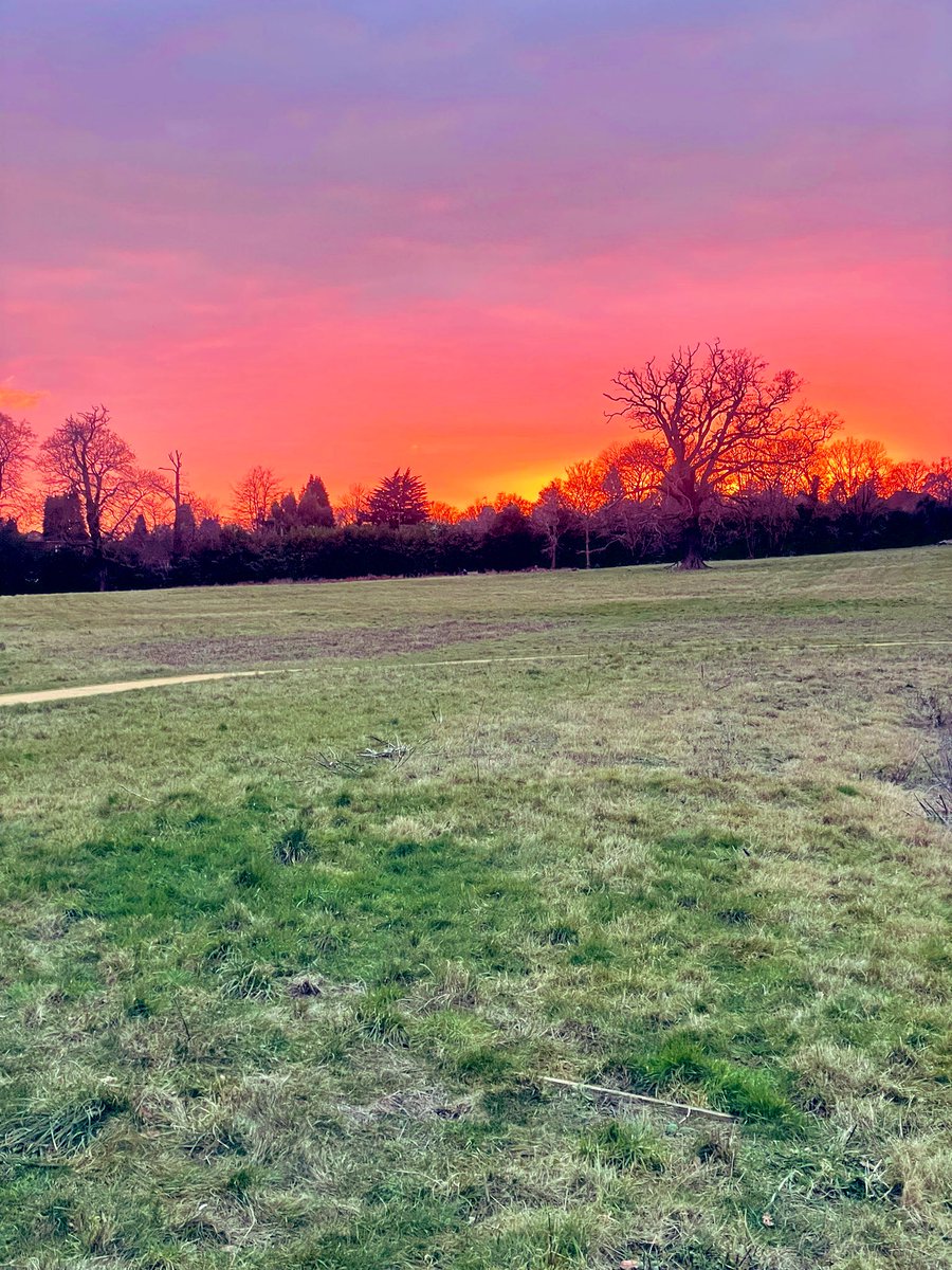AndMagpies's tweet photo. Sunset, you were so worth getting cold for 🧡 Tonight’s loveliness 😍 #sunsetlover #sunsetaddict https://t.co/2KAEU96IfC
