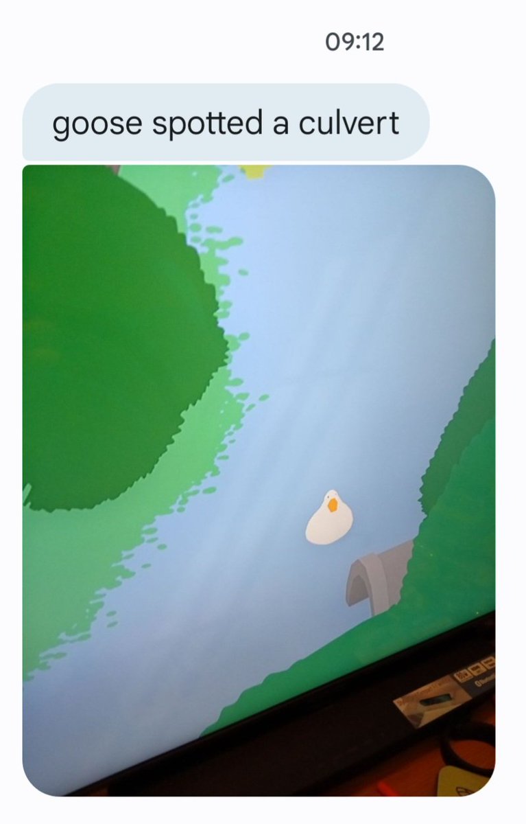 For Christmas, my son got Untitled Goose Game and a mobile phone. He texted me this picture this morning #culvertsurveillance #ratemyculvert