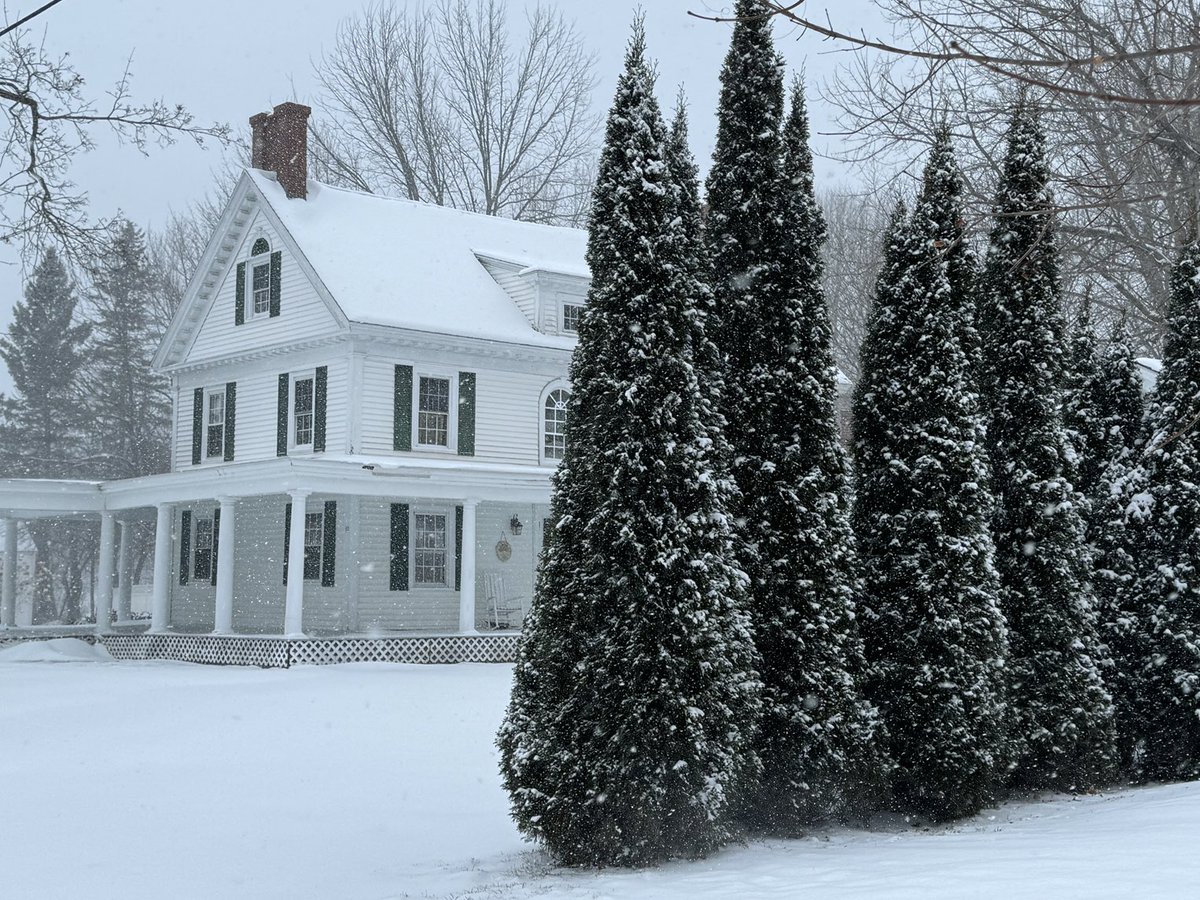 It’s finally beginning to look a lot like Christmas
