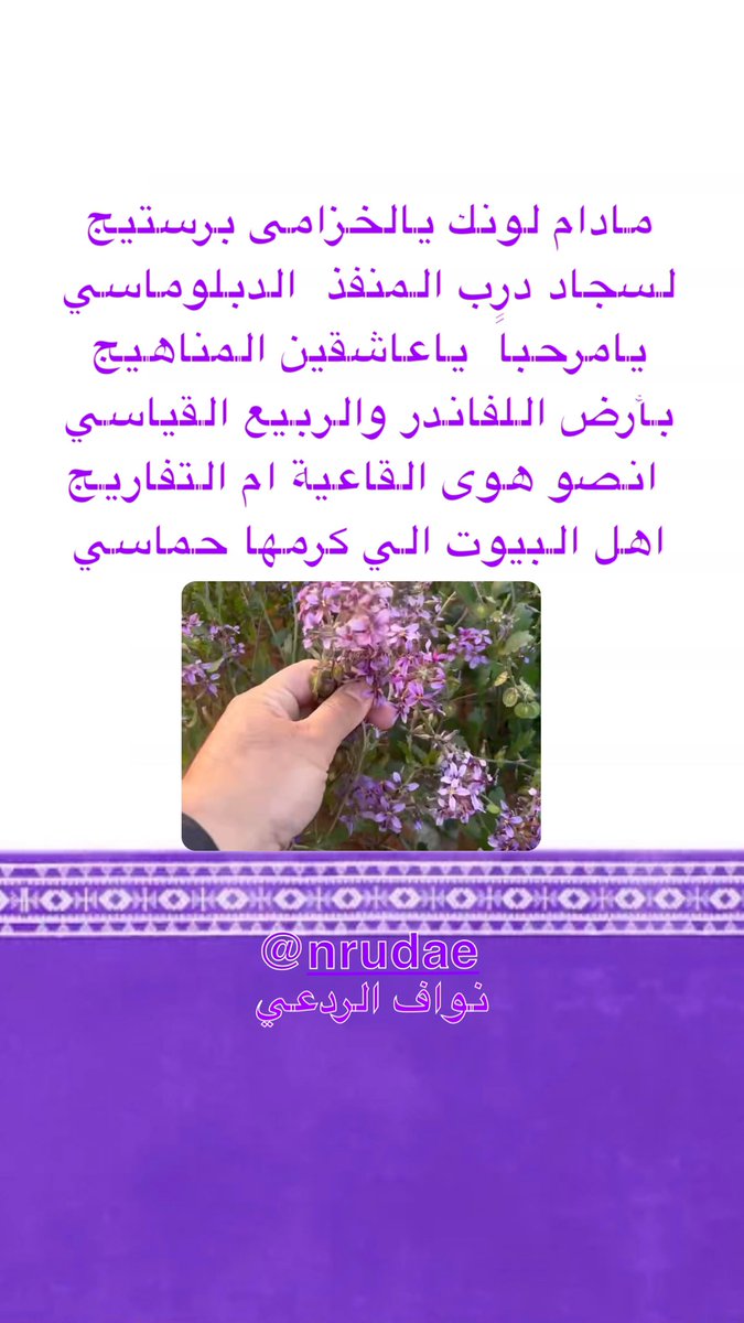 نواف الردعي tweet media