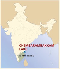 #Lakes_Dams

Chembarambakkam lake

▪️ Chembarambakkam lake is a lake located in Chennai, Tamil Nadu. about 25 km from Chennai. 

▪️ It is one of the two rain-fed reservoirs from where water is drawn for supply to Chennai City, the other one being the Puzhal Lake.
