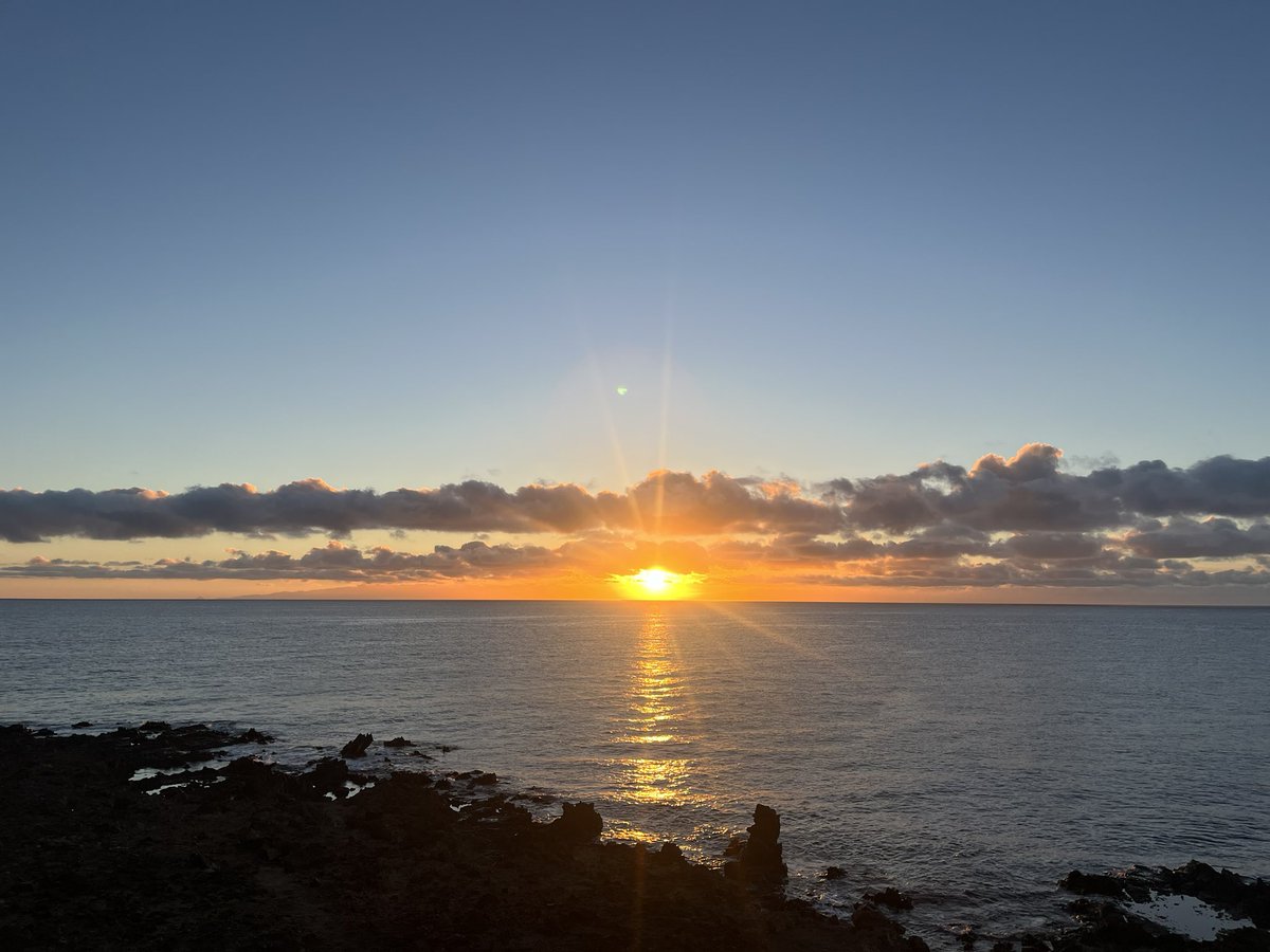 Sophie Herzog tweet media