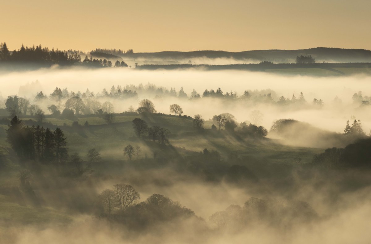 Muddyboots (@muddybootsguide) on Twitter photo Stunning cloud inversion/fog in the Nire Valley today before sunset.<a href="/MunsterVales/">Munster Vales</a> <a href="/MetEireann/">Met Éireann</a> <a href="/deric_tv/">Deric</a> Stunning cloud inversion/fog in the Nire Valley today before sunset.<a href="/MunsterVales/">Munster Vales</a> <a href="/MetEireann/">Met Éireann</a> <a href="/deric_tv/">Deric</a>