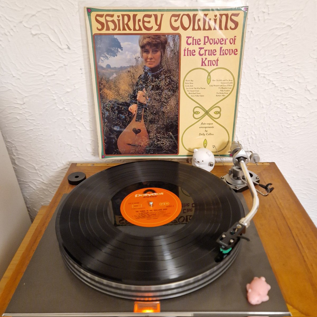 The bewitching sound of Shirley Collins is getting me through this Sunday evening. A busy week ahead as back to client work after my Winter break, the return of the Sunday Service next weekend, and off to buy some record collections. ...and of course forest walks 🌞