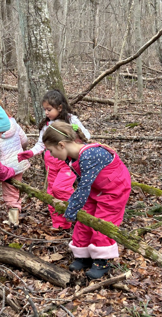 MegaeraR's tweet photo. Last week I spent a day in the woods with my sister's K class as part of her "Kinderwoods" program. The Ss spend 1 or 2 days a month in the woods. I would love to hear what you think the benefits are, and how we can do something like this in PE. #ElemPE @NYSAHPERD @CTAHPERD https://t.co/ZgrVR25dYS