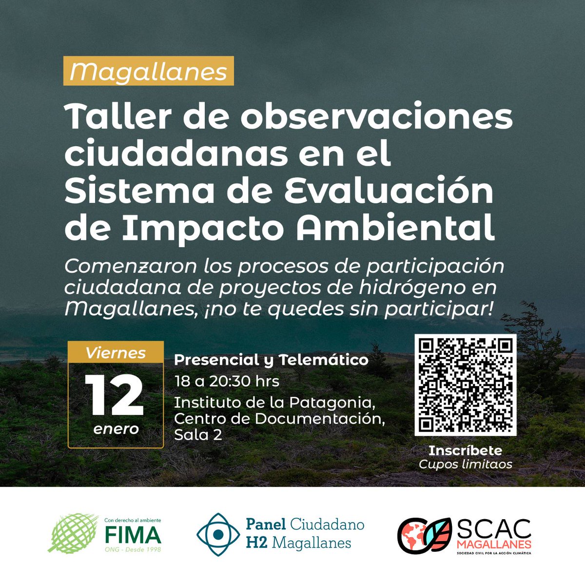 Panel Ciudadano H2 Magallanes tweet media