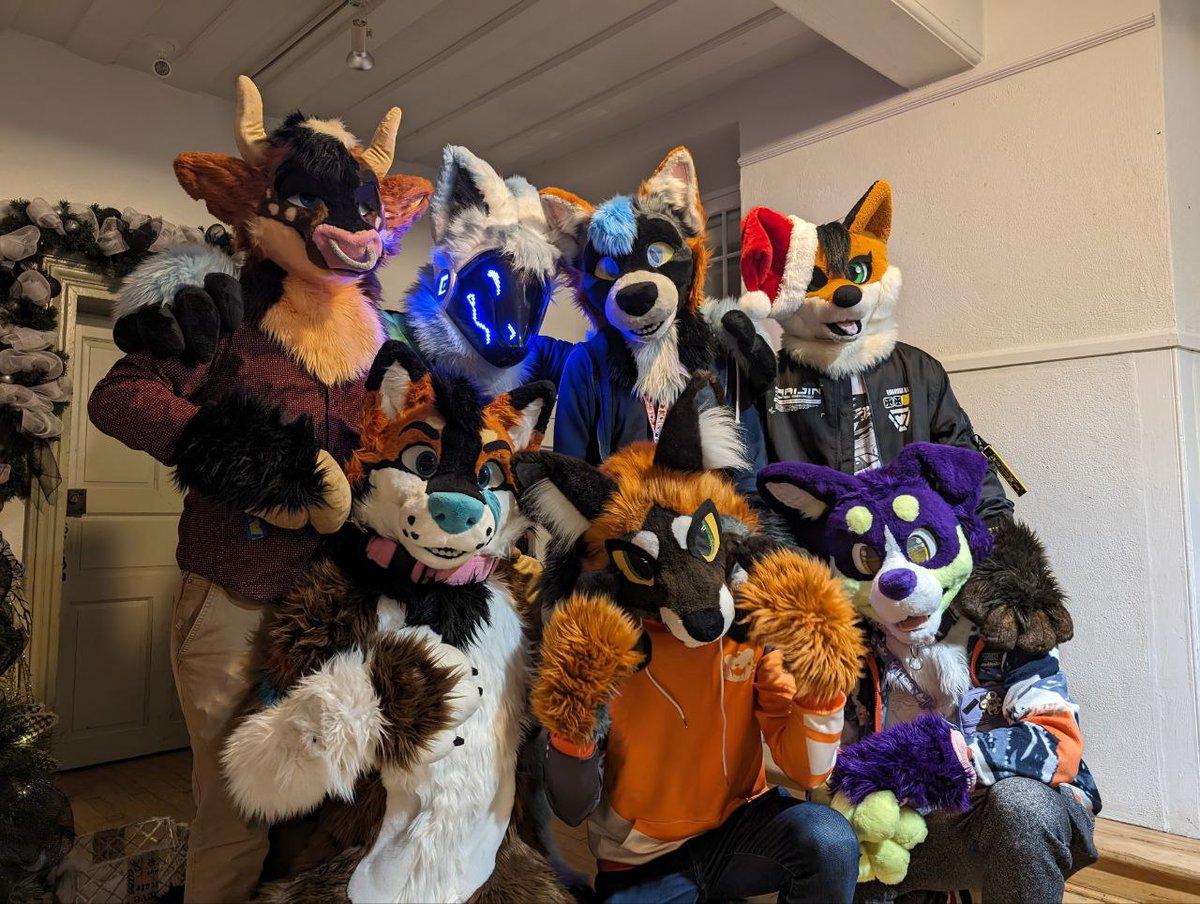 SomeWolfy's tweet photo. Last night at FurXMas was fucking AMAZING

All the fluffies in order :
🐮 : @Dasama98
💻 : @ProtoBlake
🦊 : @robbie_crossfox
🦊 : @Ajax_F0X
🐺 : ME
🦊 : @DatBeigeFox
🐶 : @JayaWolf0 https://t.co/SxH1InHQls
