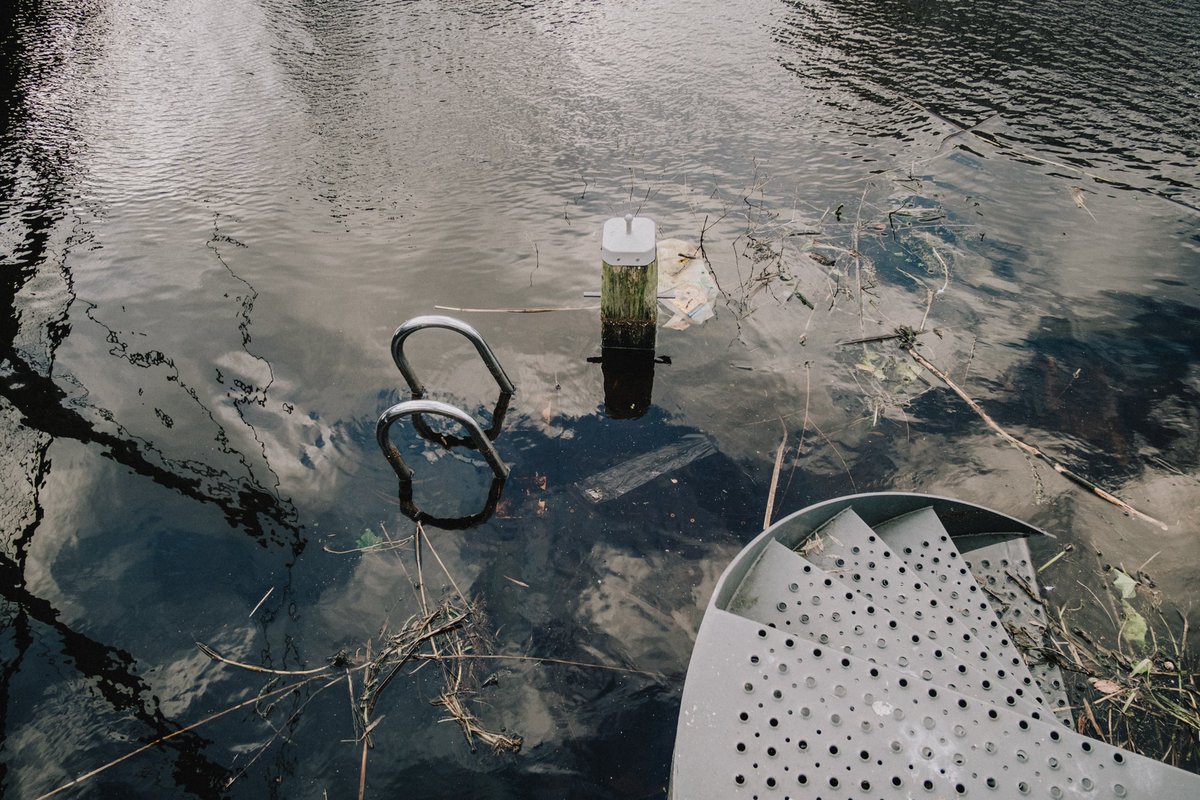 mitchellens.ink tweet media