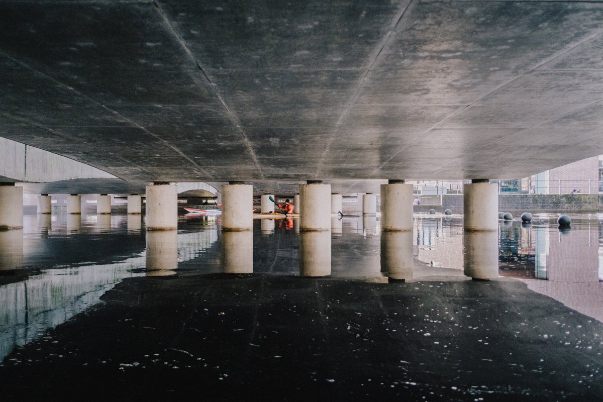 mitchellens.ink tweet media