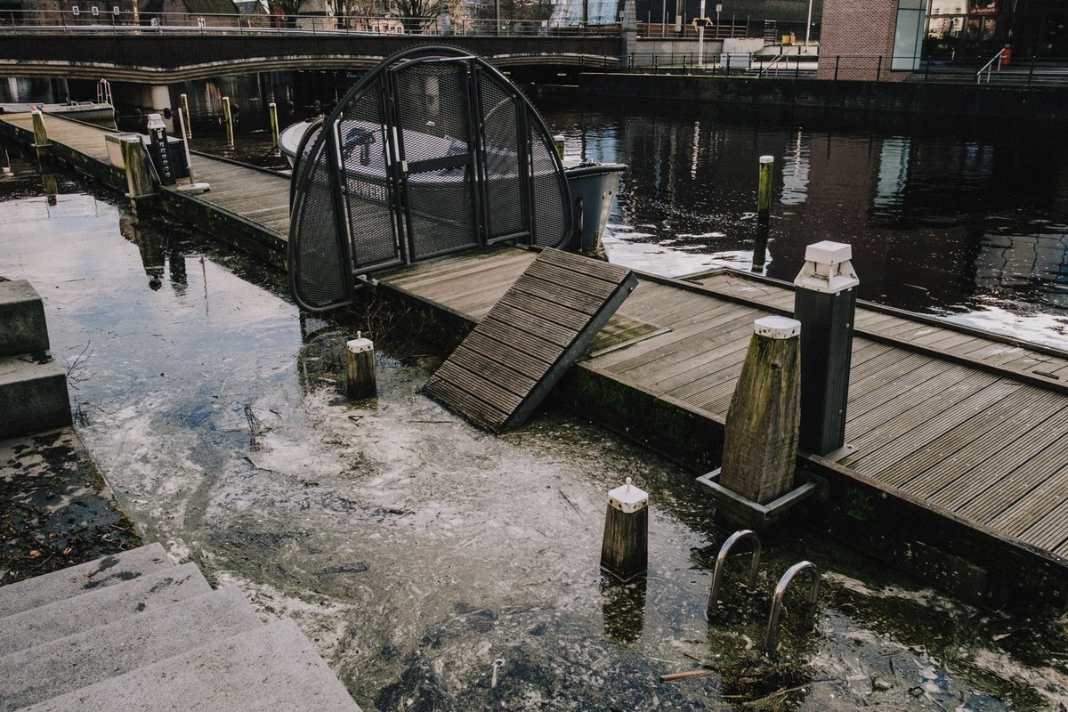 mitchellens.ink tweet media