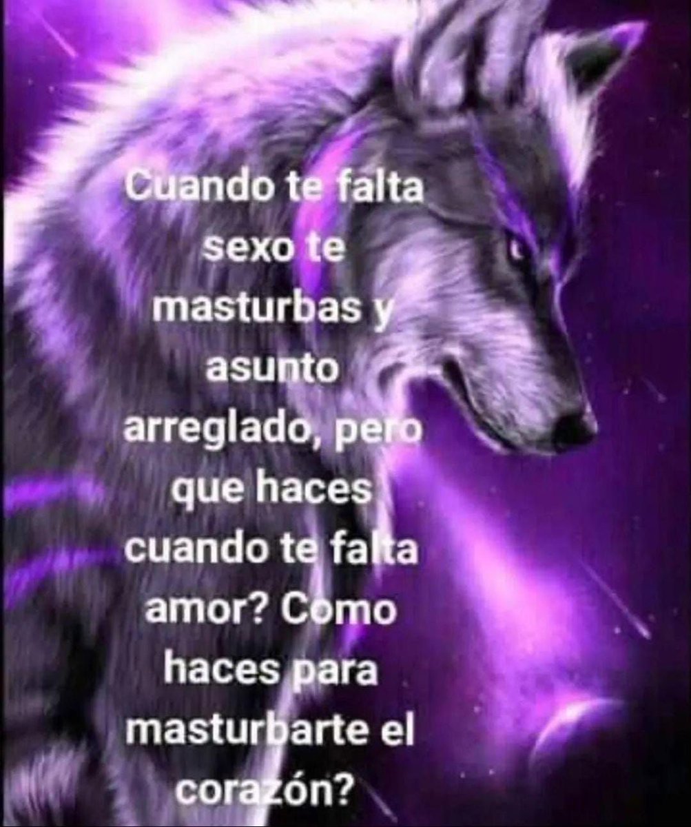 chincheto pirata somali (@wikipistacho) on Twitter photo 