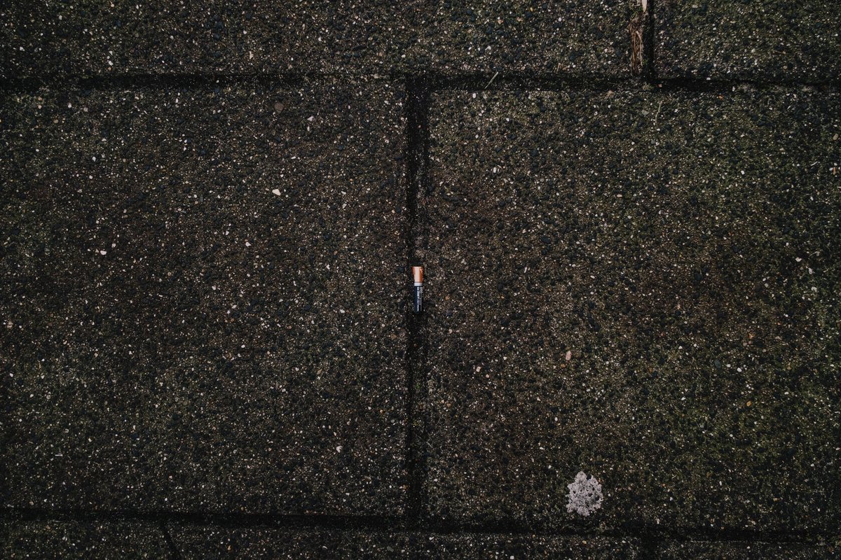 mitchellens.ink tweet media