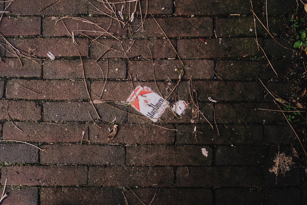 mitchellens.ink tweet media