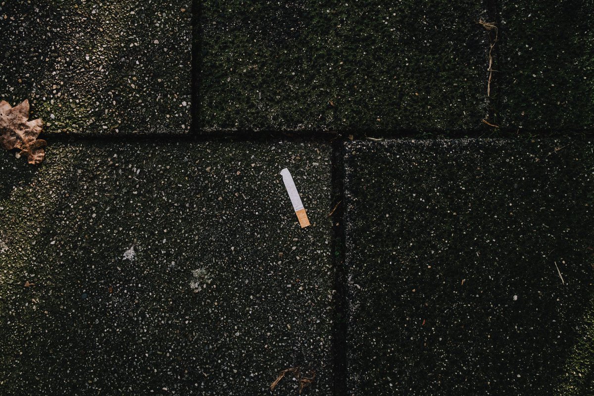 mitchellens.ink tweet media