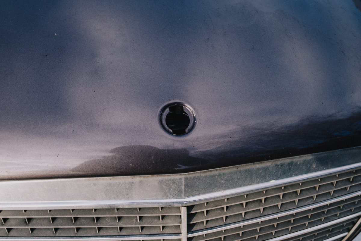 mitchellens.ink tweet media