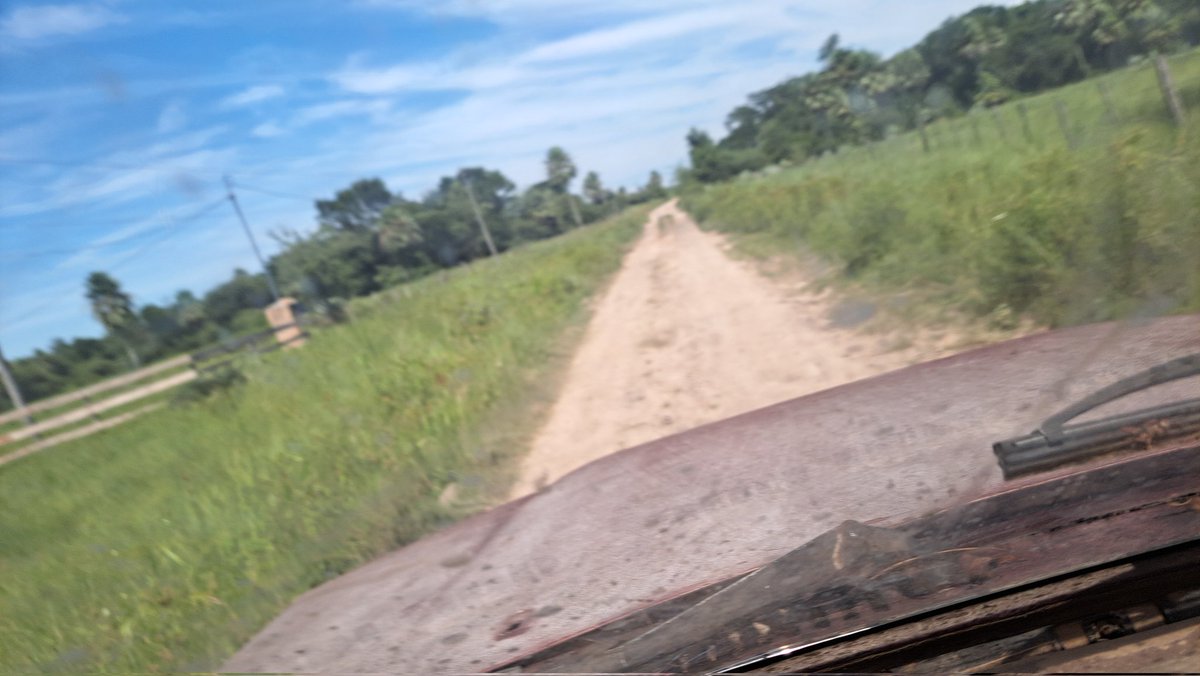 lacatalinapy's tweet photo. 16:00 Murio bujia de motosierra, a buscar bujía. ☹️ domingo! https://t.co/QP6FNjdNQW
