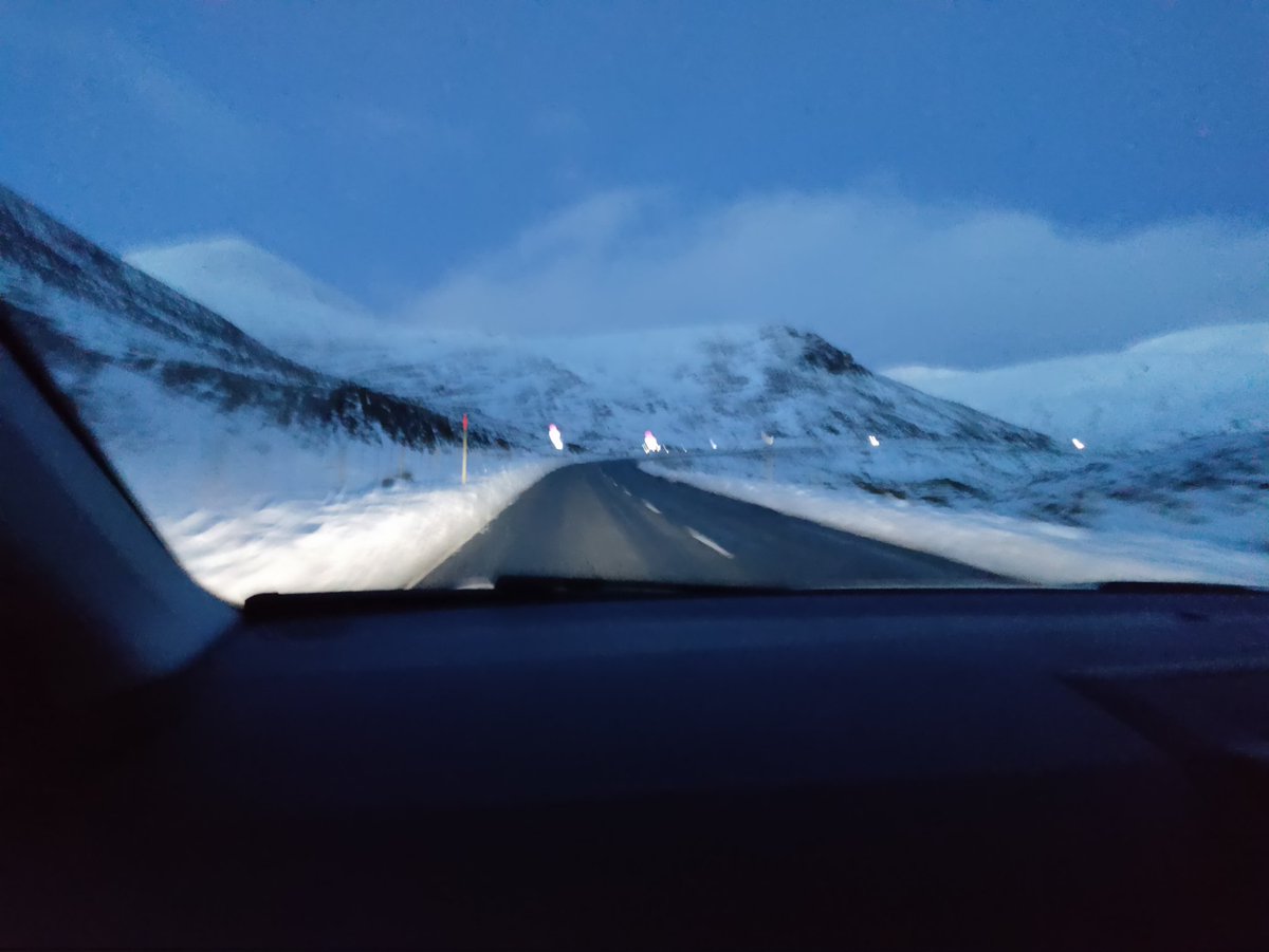 Dr Ekaterina (Kat) Aristovich 💙 tweet media