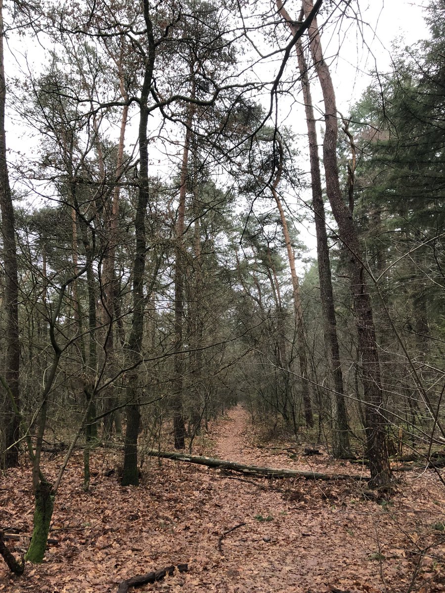 edithmul's tweet image. ‘Het enige waar we goed in zijn, is groeien. Harder groeien, sneller groeien. Meer dan vorig jaar. Groei, helemaal tot aan de rand van de afgrond en dan eroverheen.’ Uit: Tot in de hemel - Richard Powels Heel veel (bladzijden) om over na te denken #boekperweek 1/52