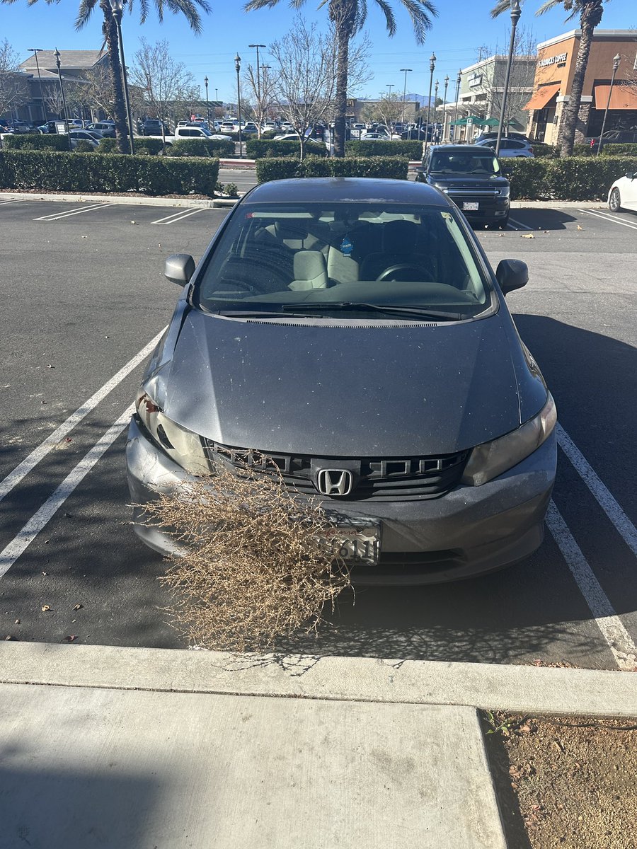 CoreySelby's tweet photo. Some kid riding a bike was pointing and laughing at my car while I was driving. I feel a lot better knowing this is why 😂 https://t.co/tIcJGJAZPQ