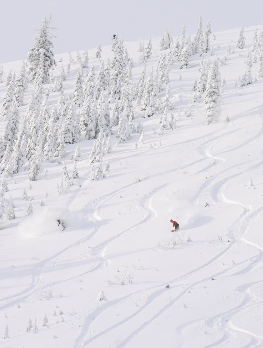 SchweitzerID's tweet image. #PowderDay for the opening of the Lakeview Triple ❄️❄️❄️ #schweitzerlife